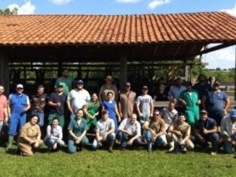 NOVOS CURSOS DE PÓS-GRADUAÇÃO EM MEDICINA VETERINÁRIA TRAZEM PRÁTICAS E INOVAÇÃO