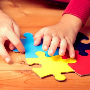 Autismo Com Base no Modelo Estruturado Aplicado às Políticas de Assistência e Integração Social  em São José dos Campos - SP