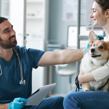 Mba em Gestão de Marketing em Pet Shops e Clínicas Veterinárias  em São José dos Campos - SP