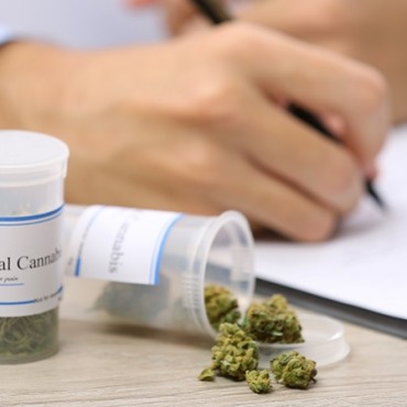 Medicina Canabinóide  em São José dos Campos - SP