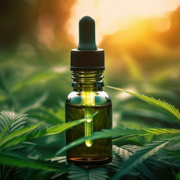 Cannabis Medicinal  em São José dos Campos - SP