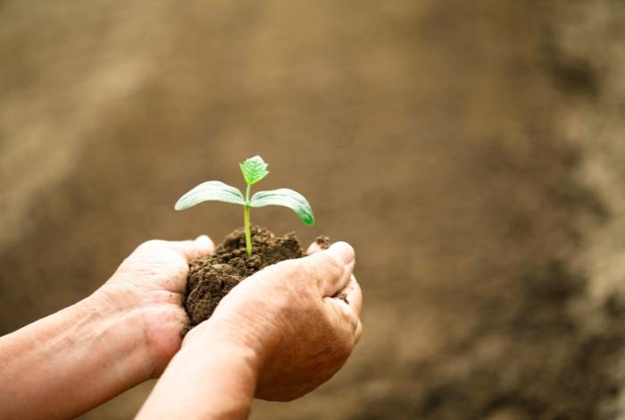 Especializações em Ciências Agrárias