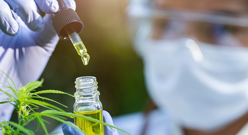 Pós-graduação em Cannabis Medicinal Para Farmacêuticos 