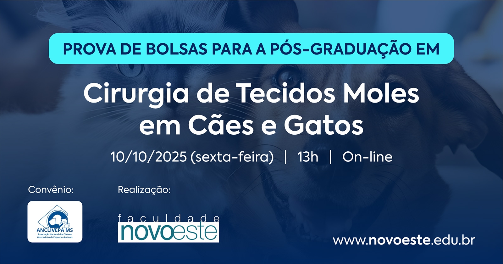 Prova de Bolsas: Pós-graduação em Cirurgia de Tecidos Moles em Cães e Gatos
