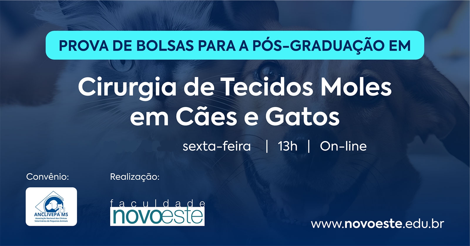 Prova de Bolsas: Pós-graduação em Cirurgia de Tecidos Moles em Cães e Gatos